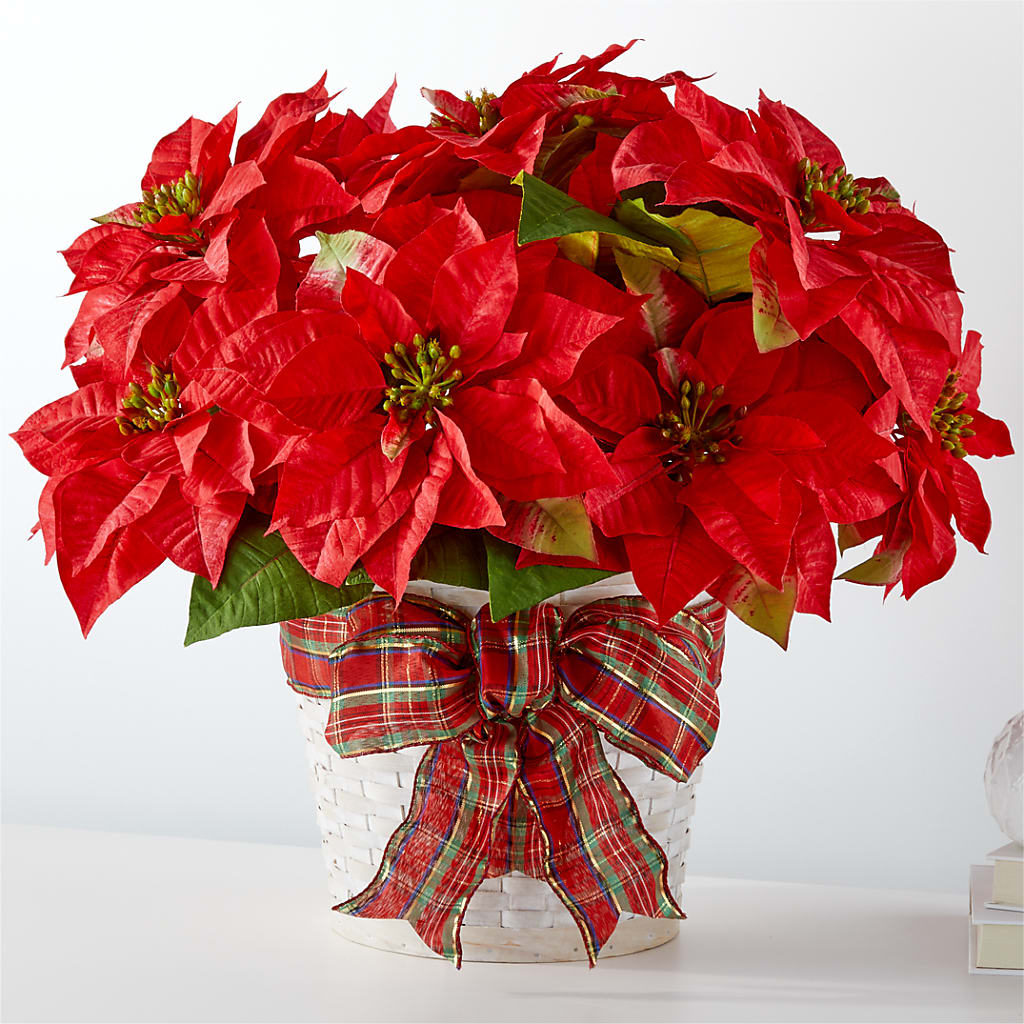 Happiest Holidays Poinsettia – Moderna Flowers, Rosamond CA