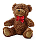 Adorable Plush Bear – Moderna Flowers, Rosamond CA