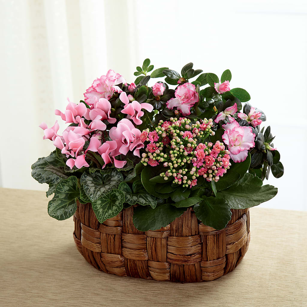 Pink Assortment – Moderna Flowers, Rosamond CA
