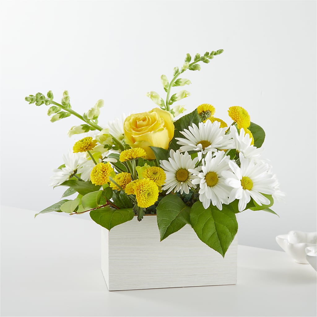 Sun Salutation Box Bouquet – Moderna Flowers, Rosamond CA