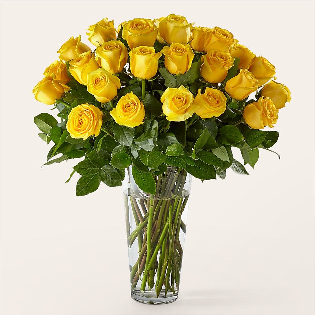 Long Stem Yellow Rose Bouquet – Moderna Flowers, Rosamond CA
