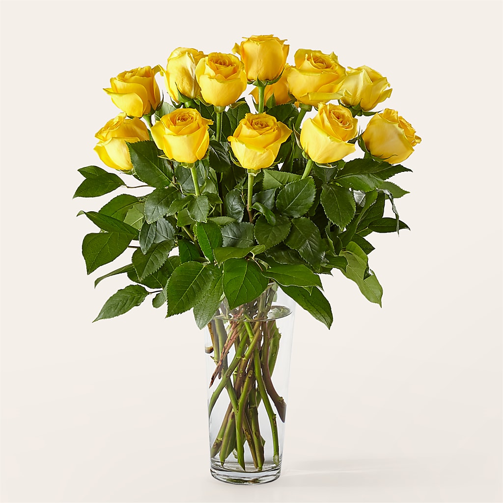 Long Stem Yellow Rose Bouquet – Moderna Flowers, Rosamond CA