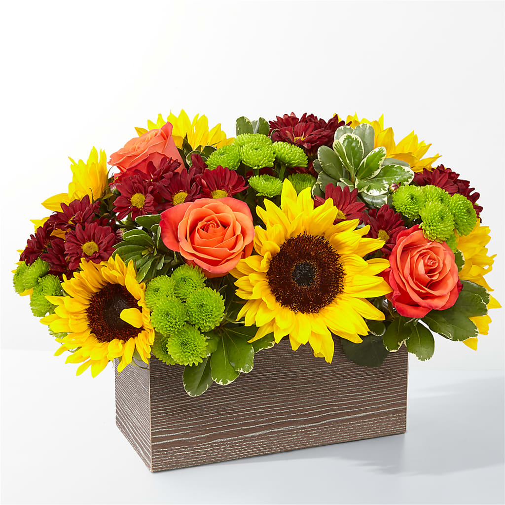 Happy Harvest Garden – Moderna Flowers, Rosamond CA