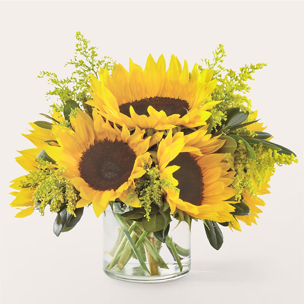 Beaming Sunflower Bouquet – Moderna Flowers, Rosamond CA