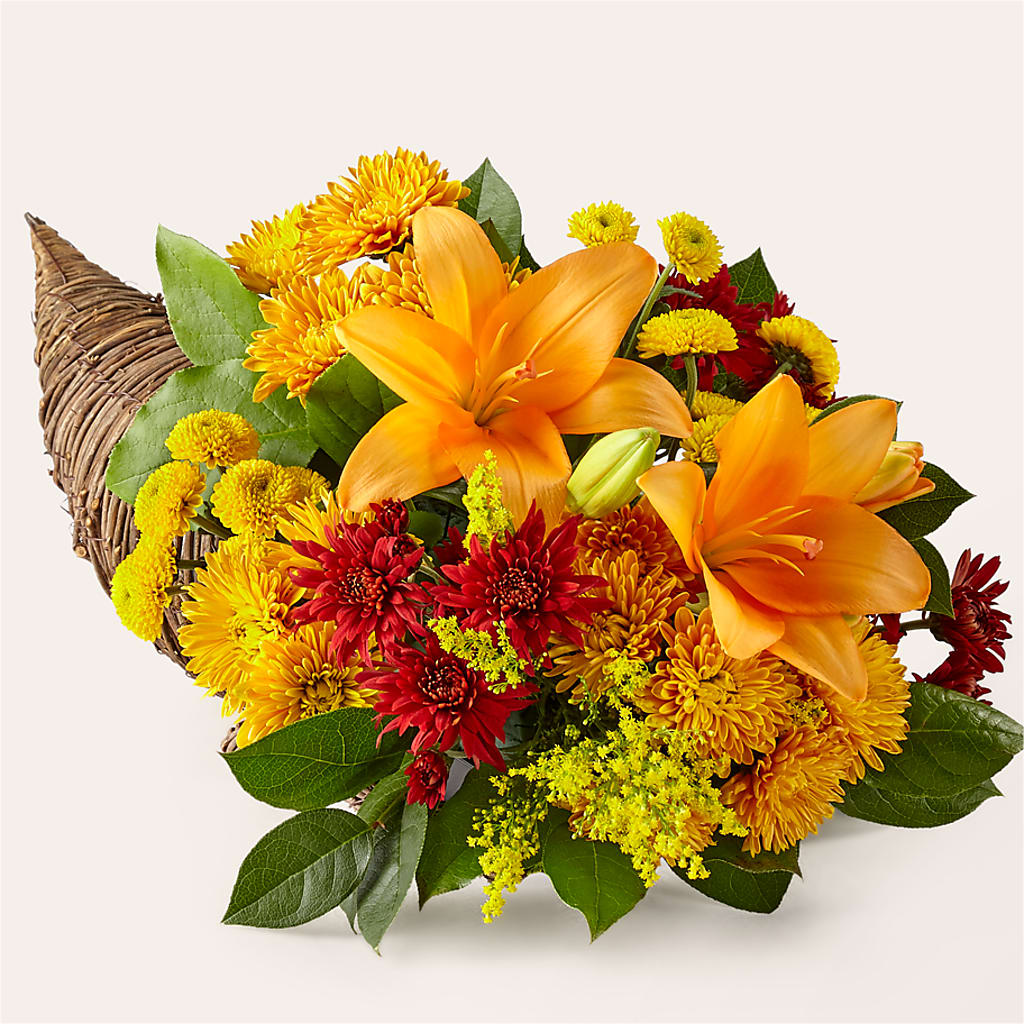 Feast of Color Cornucopia – Moderna Flowers, Rosamond CA