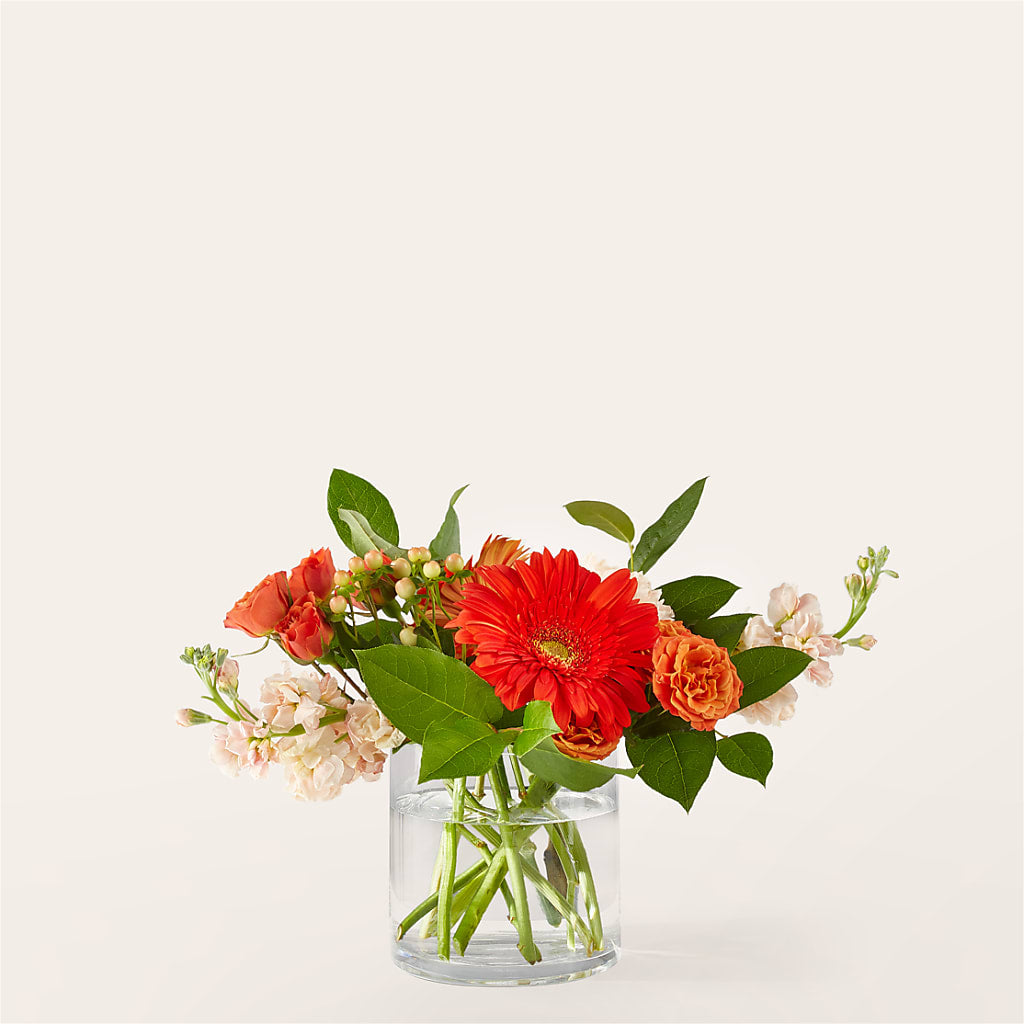 Paloma Please Bouquet – Moderna Flowers, Rosamond CA