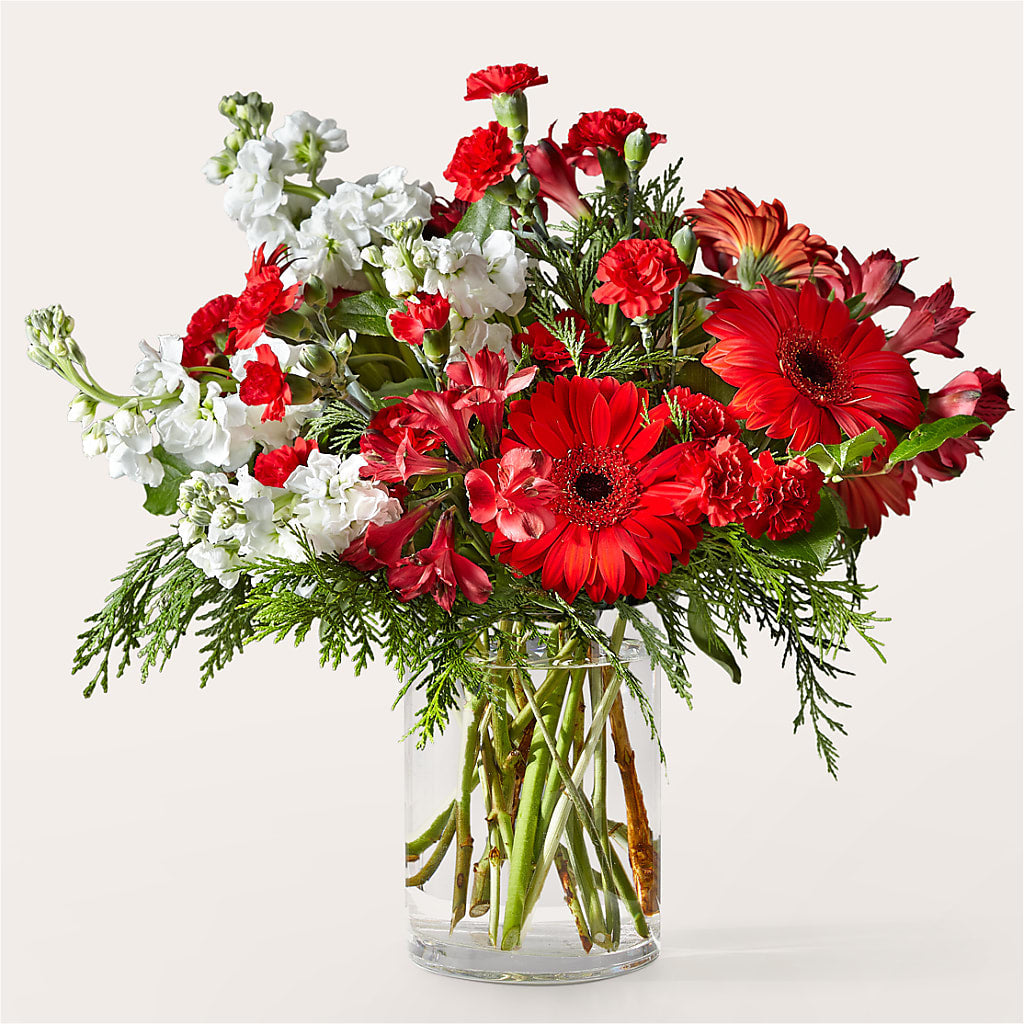 Holidaisy Bouquet – Moderna Flowers, Rosamond CA