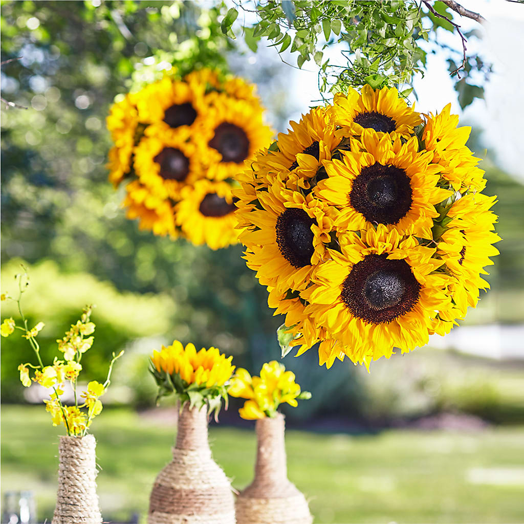 Sublime Garden Hanging Arrangement – Moderna Flowers, Rosamond CA