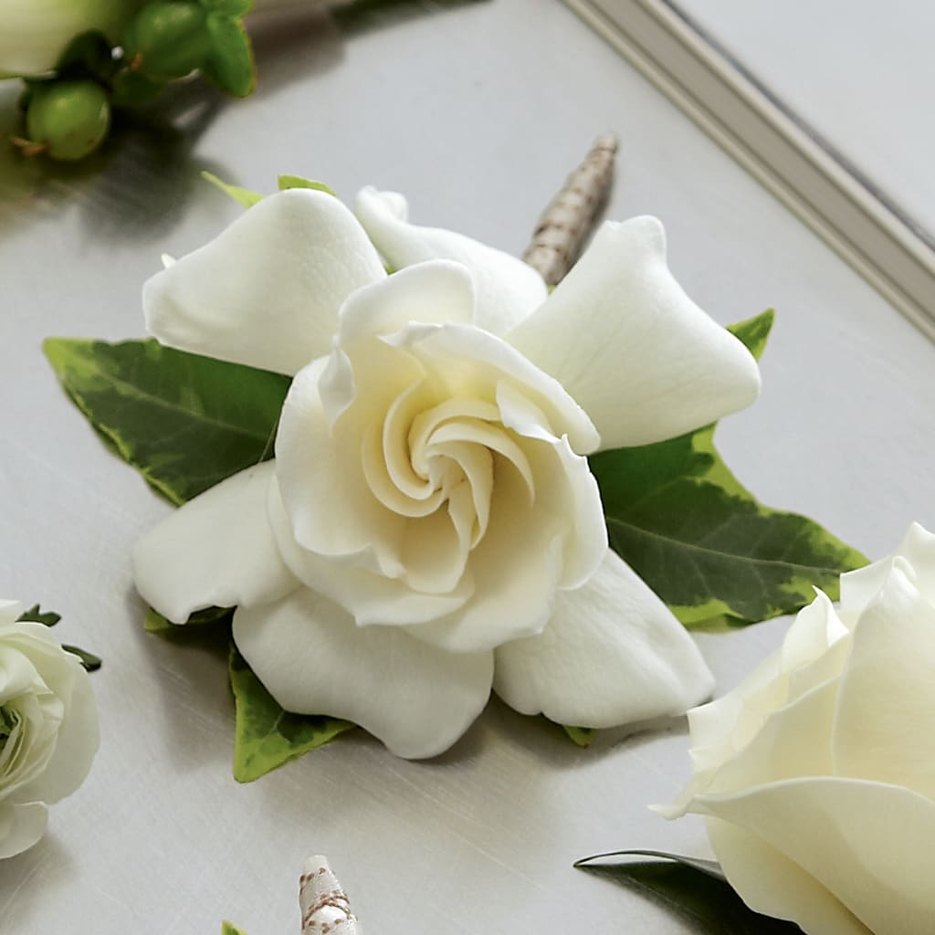 Gardenia Boutonniere – Moderna Flowers, Rosamond CA