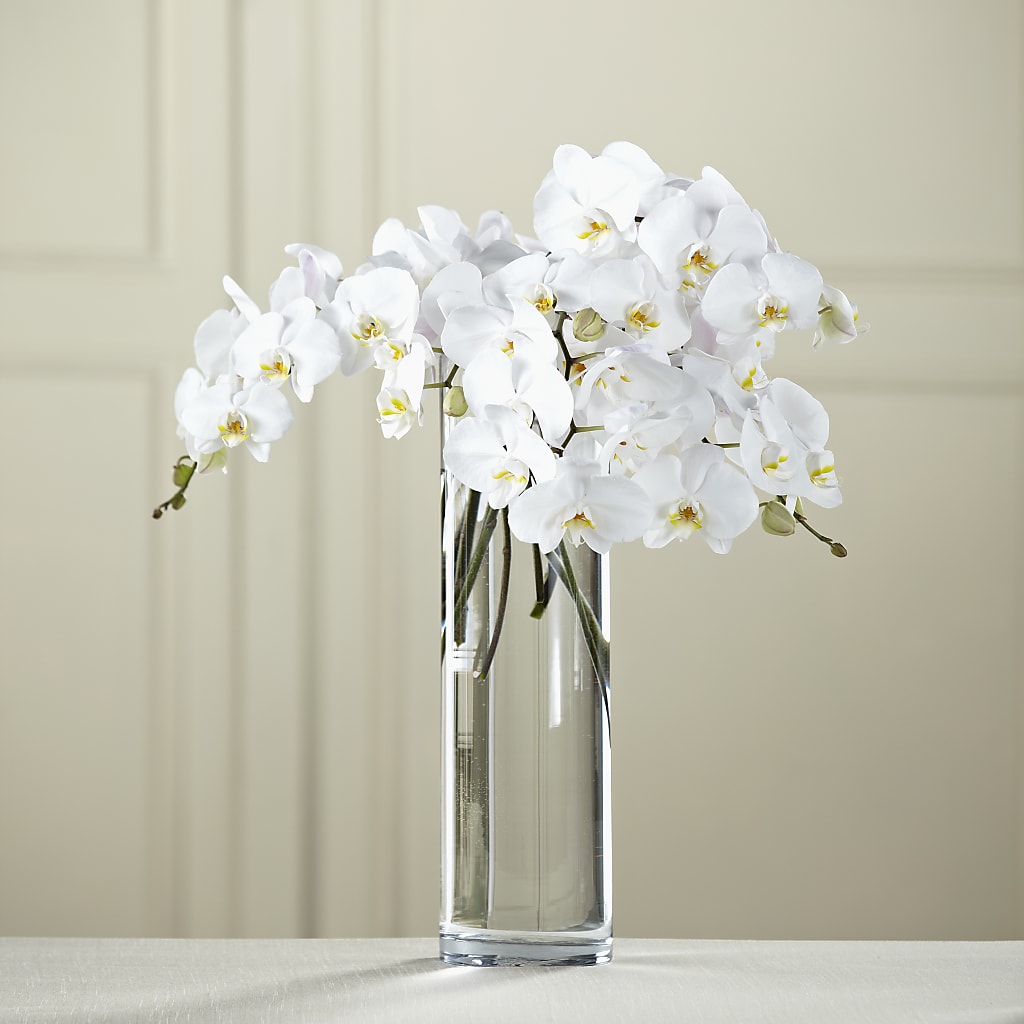 White Phalaenopsis Bouquet – Moderna Flowers, Rosamond CA