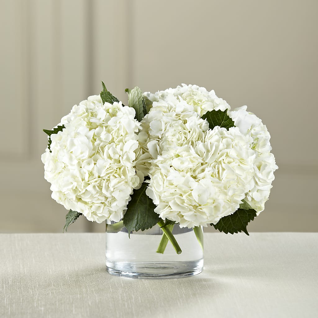White Hydrangea Bouquet – Moderna Flowers, Rosamond CA