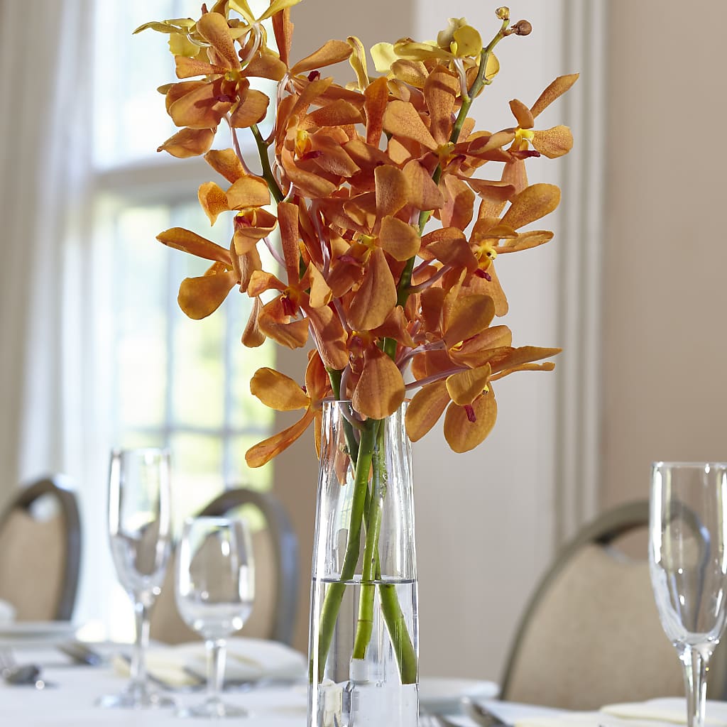 Orange Mokara Bud Vase – Moderna Flowers, Rosamond CA