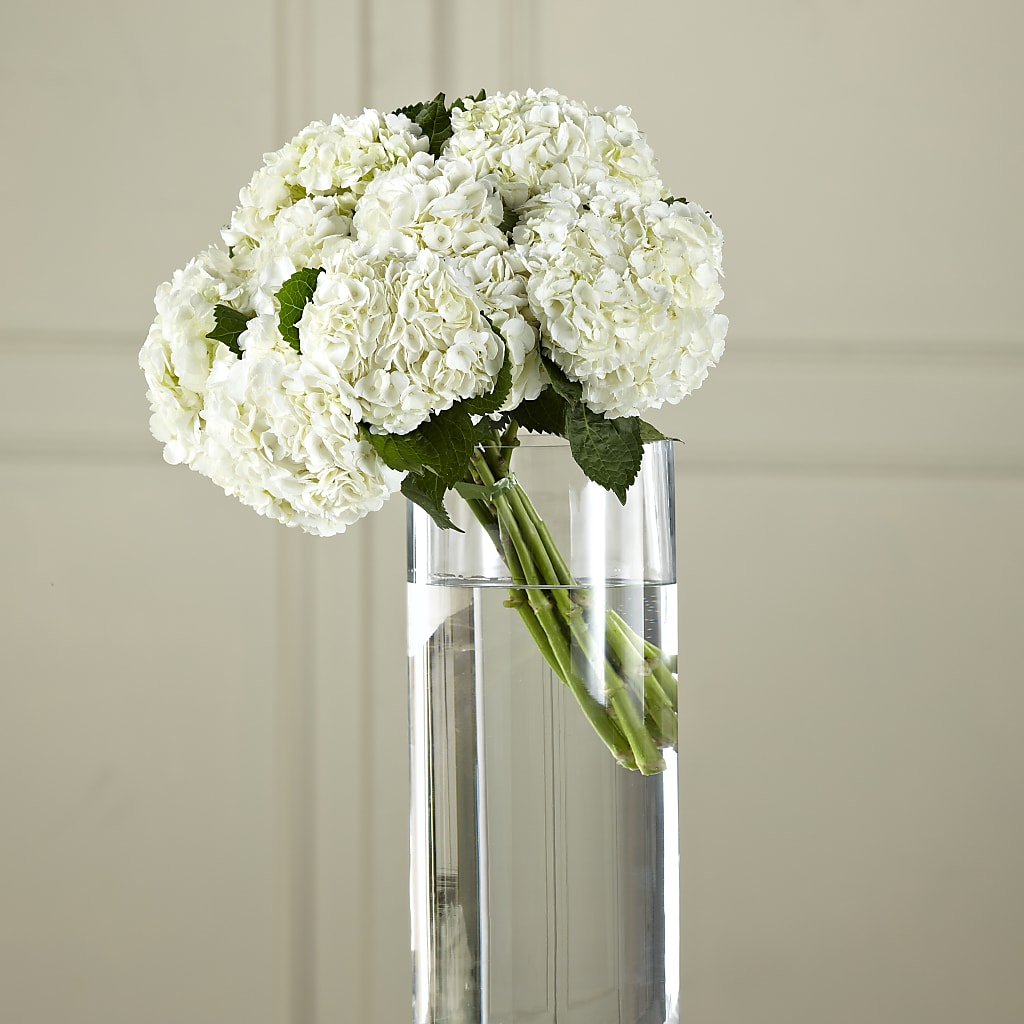 White Hydrangea Hand-Tied Bouquet – Moderna Flowers, Rosamond CA