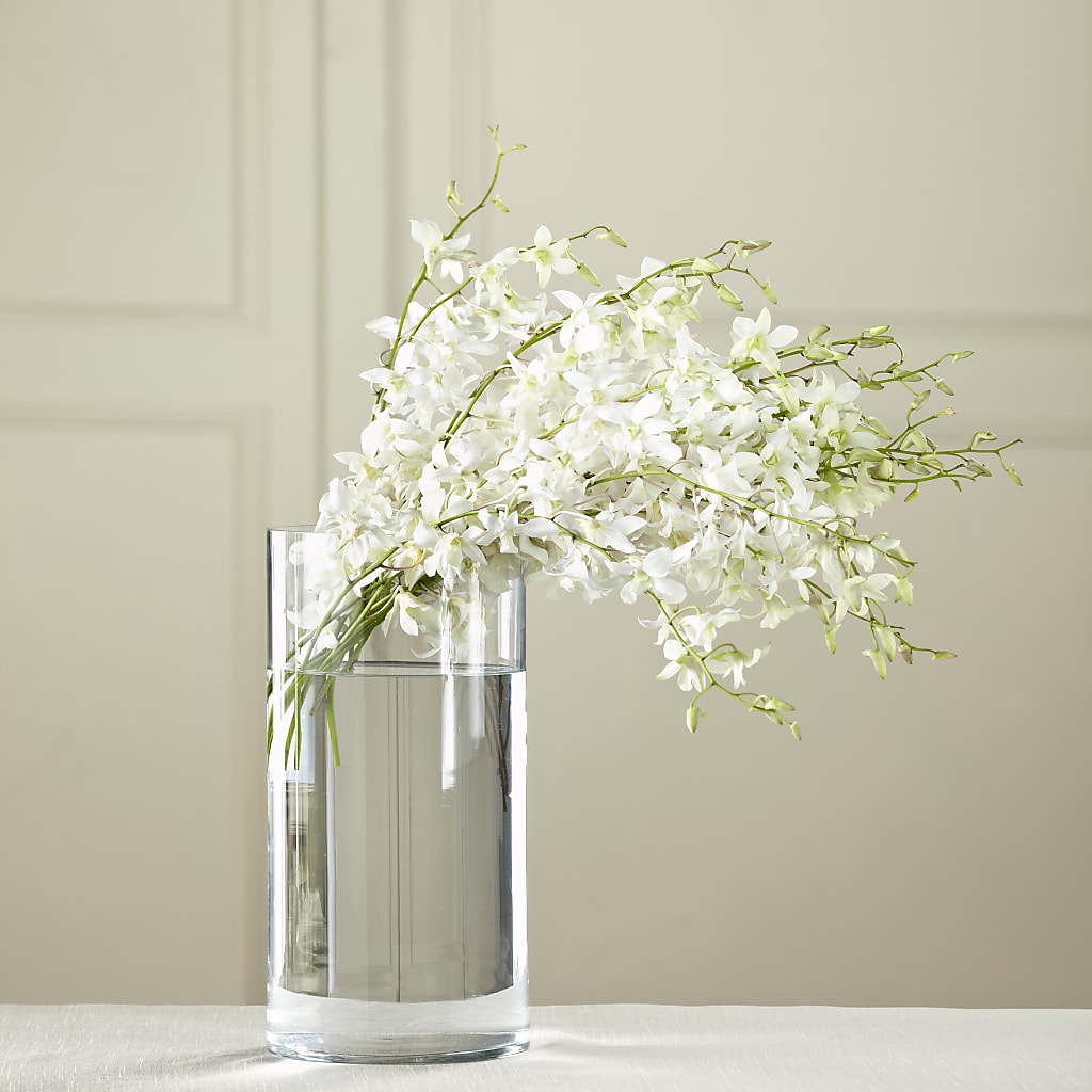 White Dendrobium Bouquet – Moderna Flowers, Rosamond CA