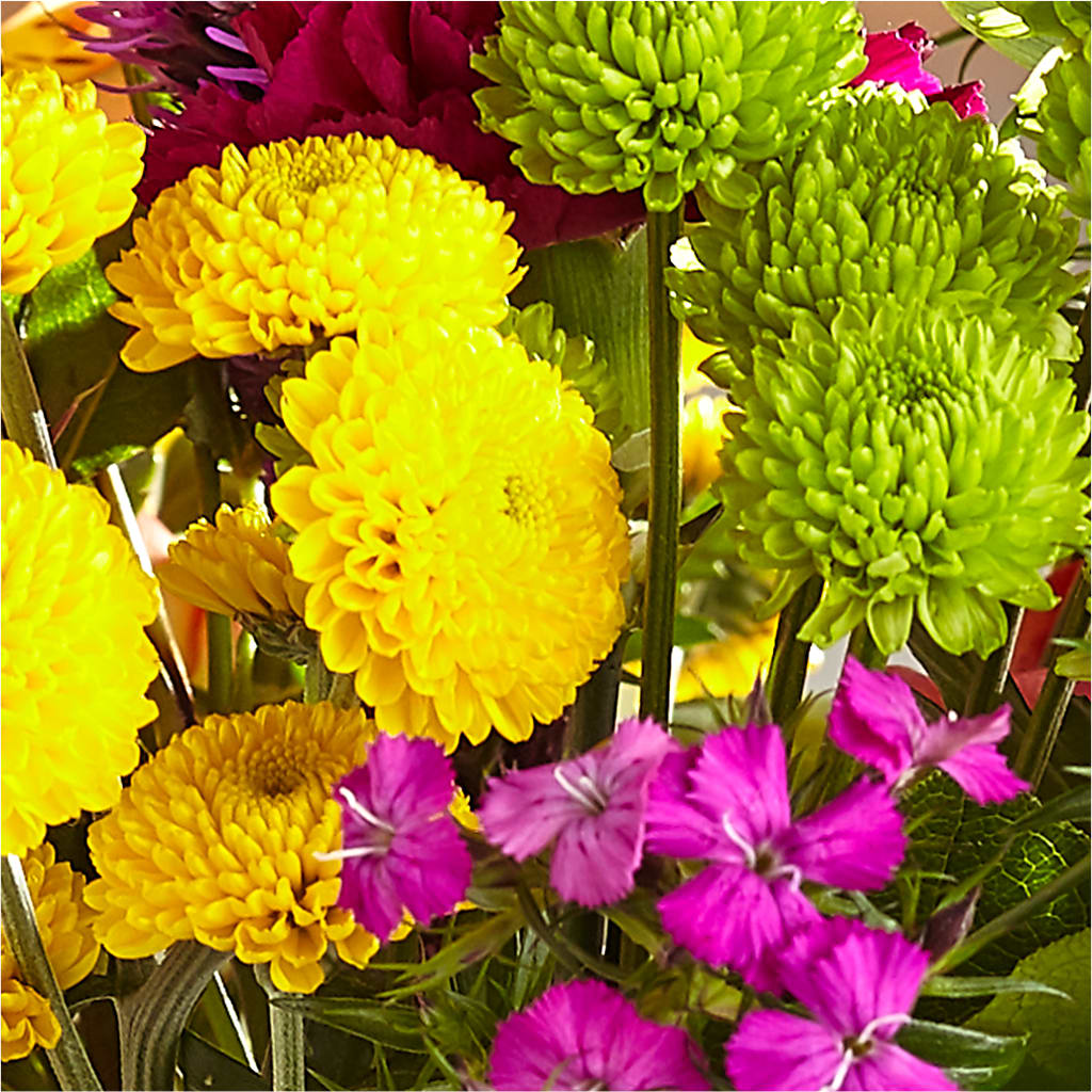 Bold & Bright – A Florist Original –  Moderna Flowers, Rosamond CA