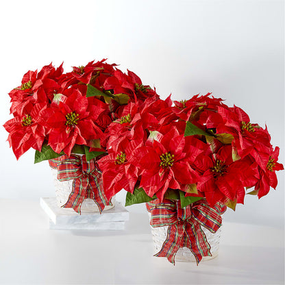 Happiest Holidays Poinsettia Bundle –  Moderna Flowers, Rosamond CA