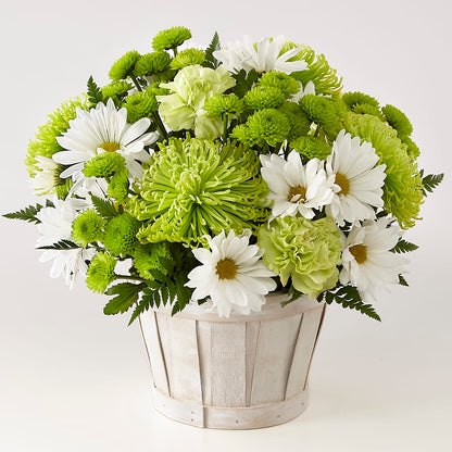 Lucky Charm Basket (Standard) –  Moderna Flowers, Rosamond CA