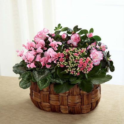 Pink Assortment –  Moderna Flowers, Rosamond CA