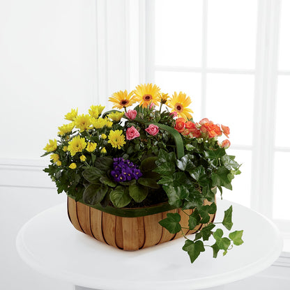 Gentle Blossoms Basket –  Moderna Flowers, Rosamond CA