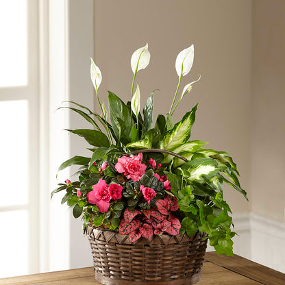 Dream in Pink Dishgarden –  Moderna Flowers, Rosamond CA