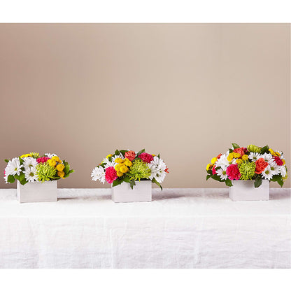 Sorbet Bouquet –  Moderna Flowers, Rosamond CA