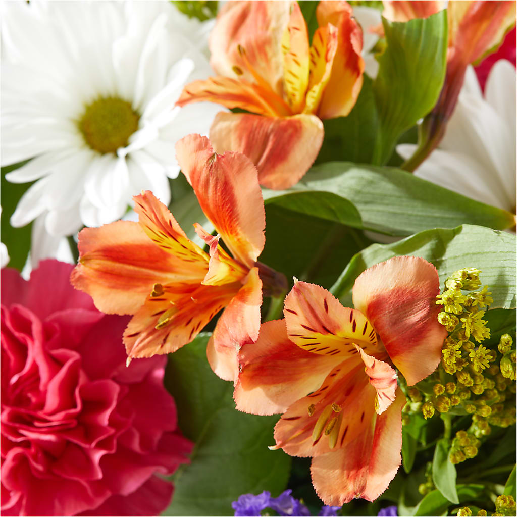 Oopsie Daisy Box Bouquet –  Moderna Flowers, Rosamond CA