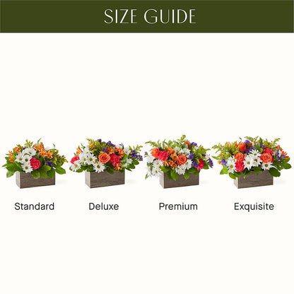 Oopsie Daisy Box Bouquet –  Moderna Flowers, Rosamond CA