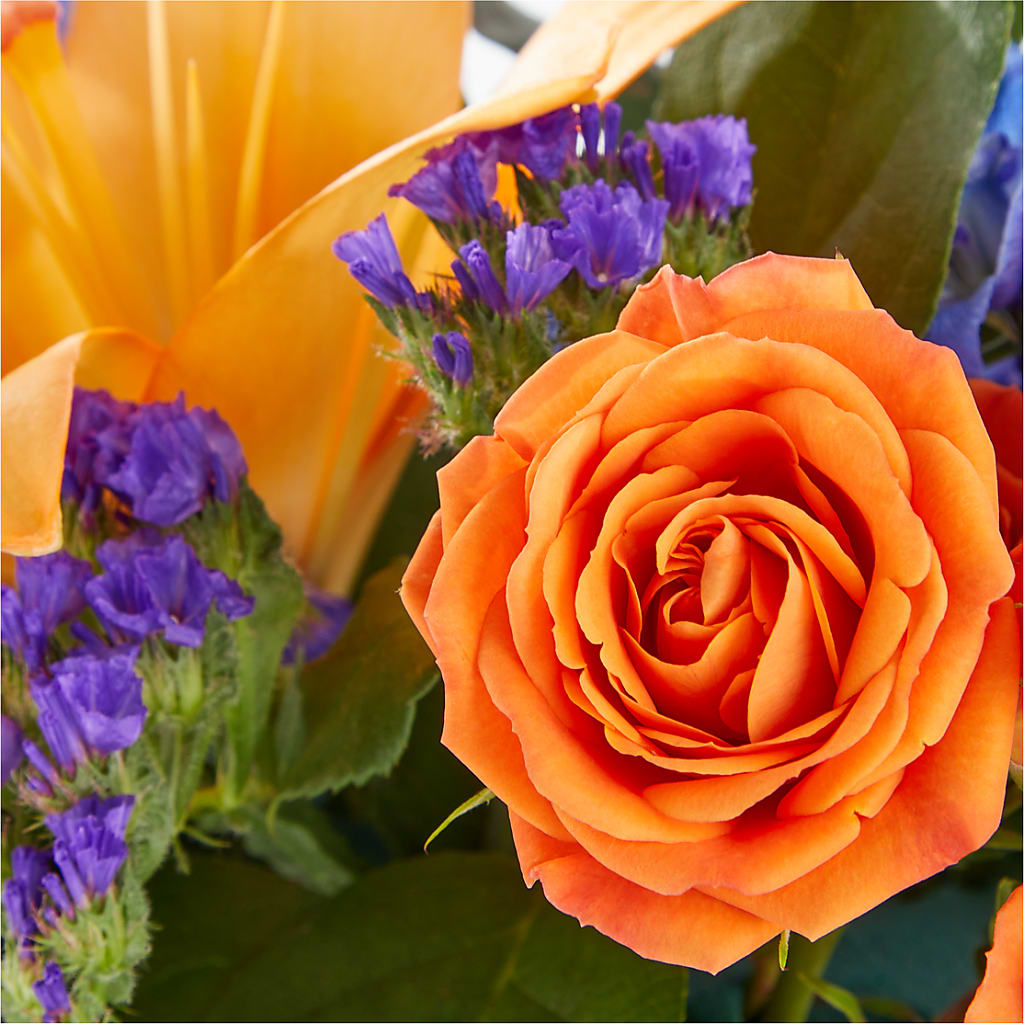 Radiant Citrus Box Bouquet –  Moderna Flowers, Rosamond CA