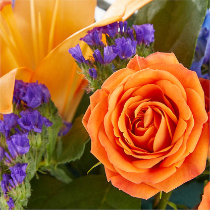 Radiant Citrus Box Bouquet –  Moderna Flowers, Rosamond CA