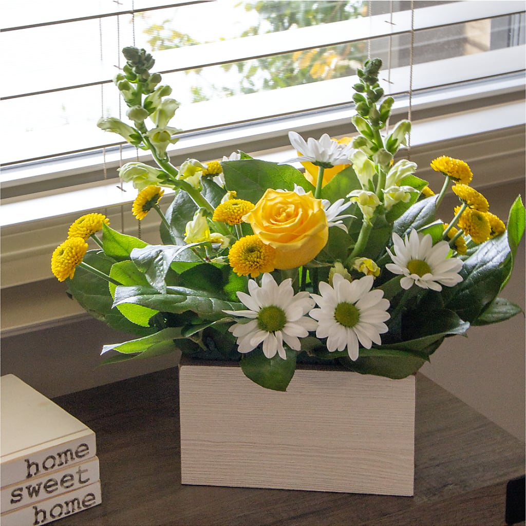 Sun Salutation Box Bouquet –  Moderna Flowers, Rosamond CA