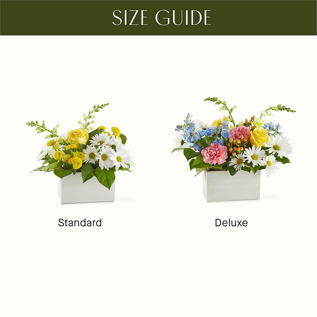Sun Salutation Box Bouquet –  Moderna Flowers, Rosamond CA