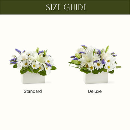 Beyond Blue Box Bouquet –  Moderna Flowers, Rosamond CA