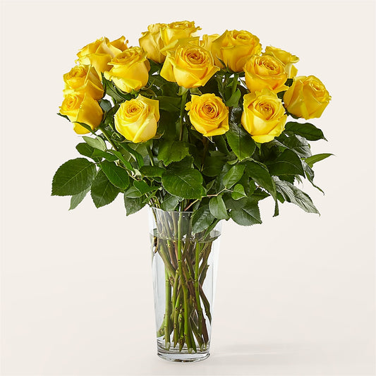 Long Stem Yellow Rose Bouquet –  Moderna Flowers, Rosamond CA