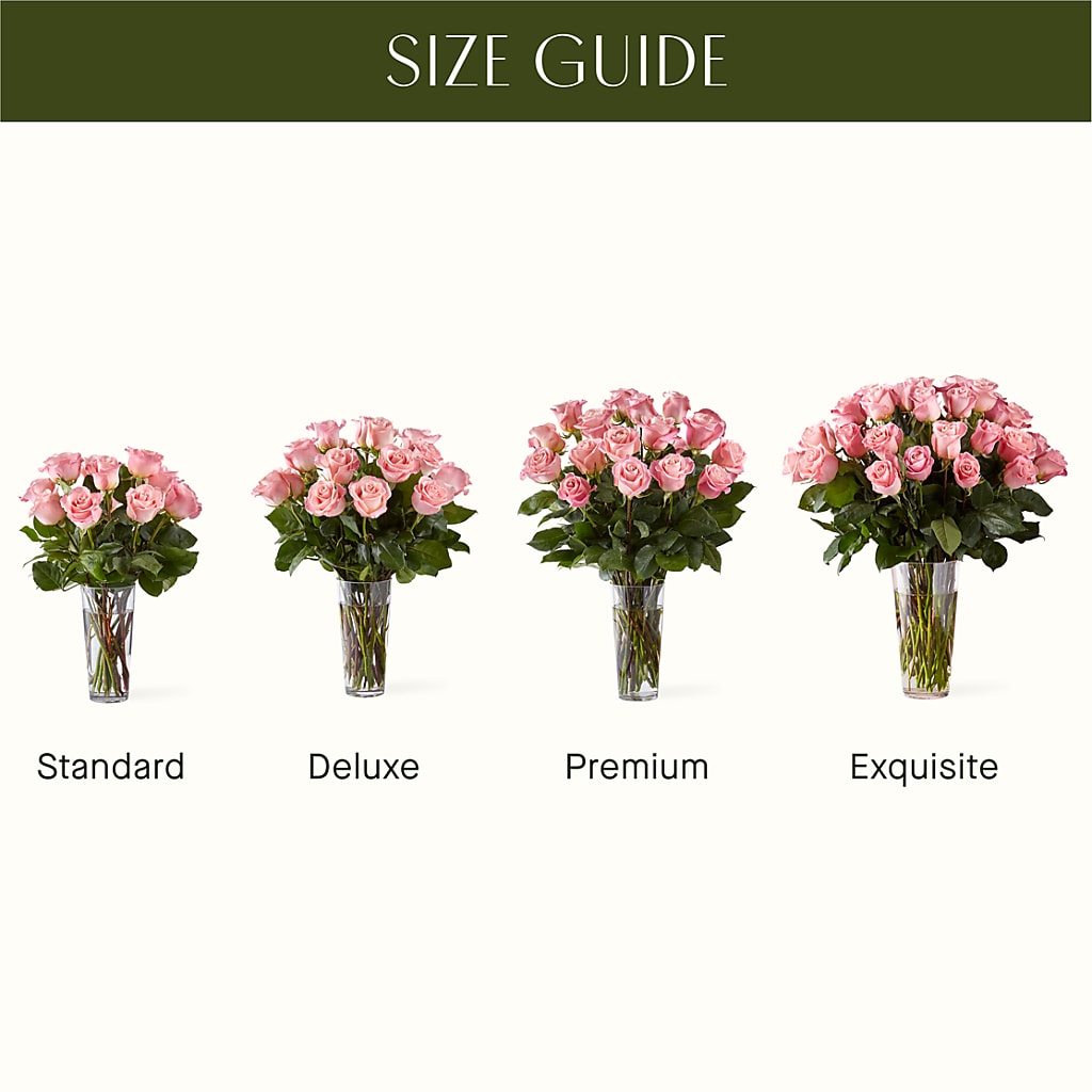 Long Stem Pink Rose Bouquet –  Moderna Flowers, Rosamond CA