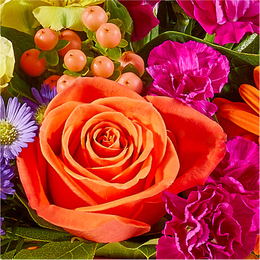 Tricks & Treats Pumpkin –  Moderna Flowers, Rosamond CA