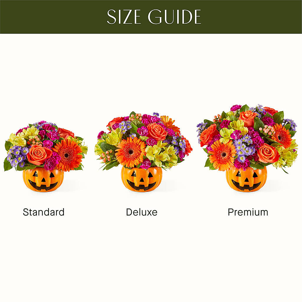 Tricks & Treats Pumpkin –  Moderna Flowers, Rosamond CA