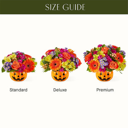 Tricks & Treats Pumpkin –  Moderna Flowers, Rosamond CA