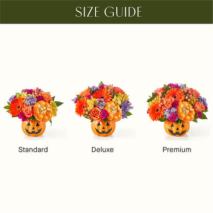 Tricks & Treats Pumpkin –  Moderna Flowers, Rosamond CA