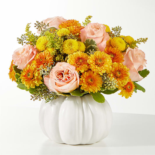 Peachy Pumpkin –  Moderna Flowers, Rosamond CA