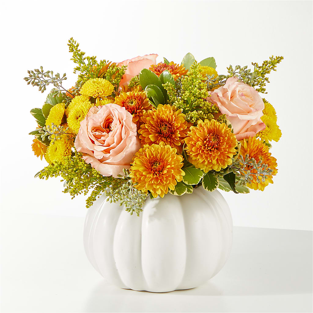 Peachy Pumpkin –  Moderna Flowers, Rosamond CA