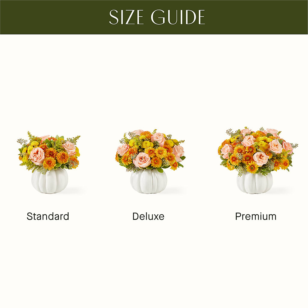 Peachy Pumpkin –  Moderna Flowers, Rosamond CA
