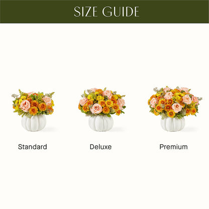 Peachy Pumpkin –  Moderna Flowers, Rosamond CA