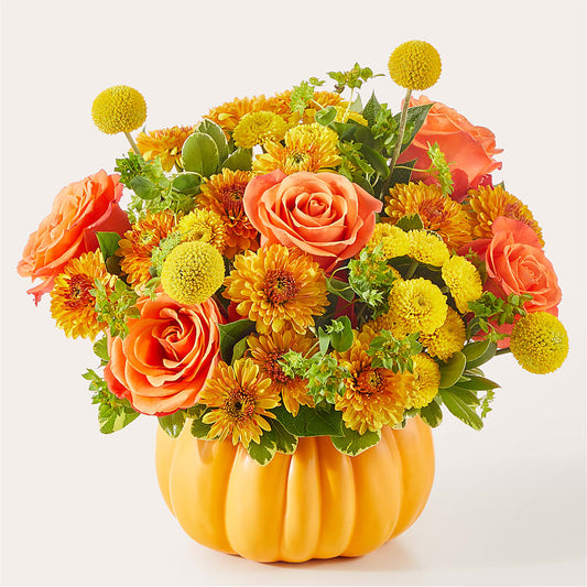 Gourdgeous Pumpkin – MODERNA FLOWERS, Rosamond CA