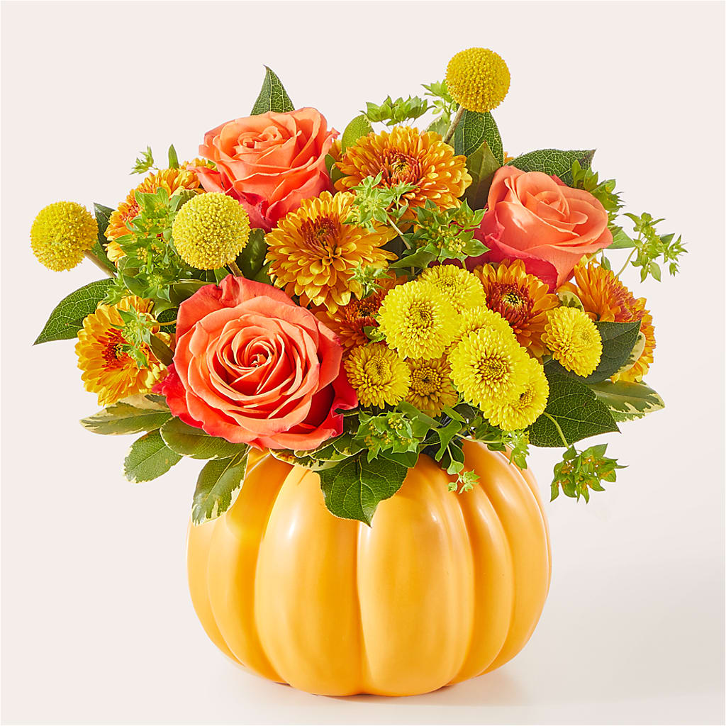 Gourdgeous Pumpkin –  Moderna Flowers, Rosamond CA