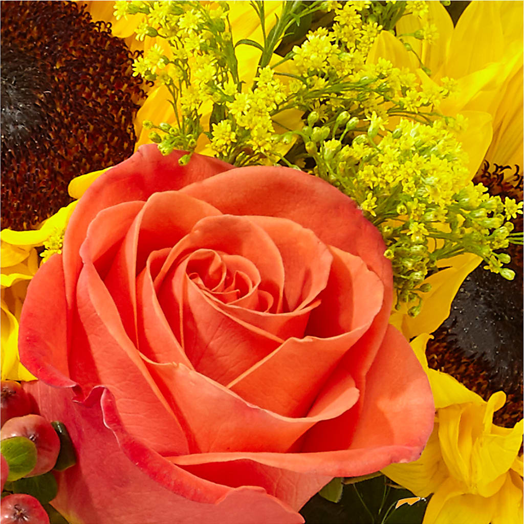 Pick of the Patch Pumpkin Bouquet –  Moderna Flowers, Rosamond CA