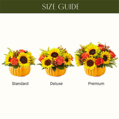 Pick of the Patch Pumpkin Bouquet –  Moderna Flowers, Rosamond CA