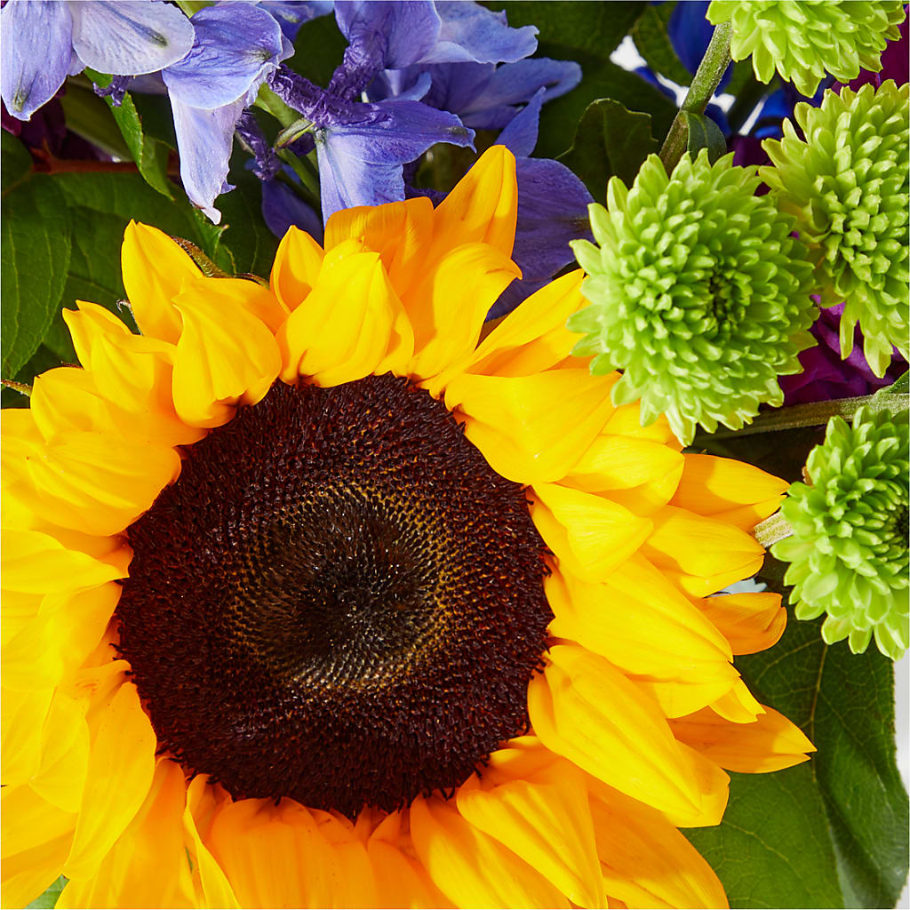 Catching Rays Bouquet –  Moderna Flowers, Rosamond CA