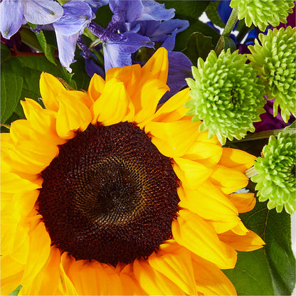 Catching Rays Bouquet –  Moderna Flowers, Rosamond CA