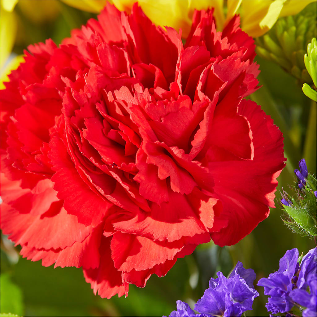 Brighter Days Bouquet –  Moderna Flowers, Rosamond CA