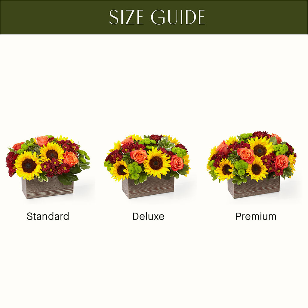 Happy Harvest Garden –  Moderna Flowers, Rosamond CA